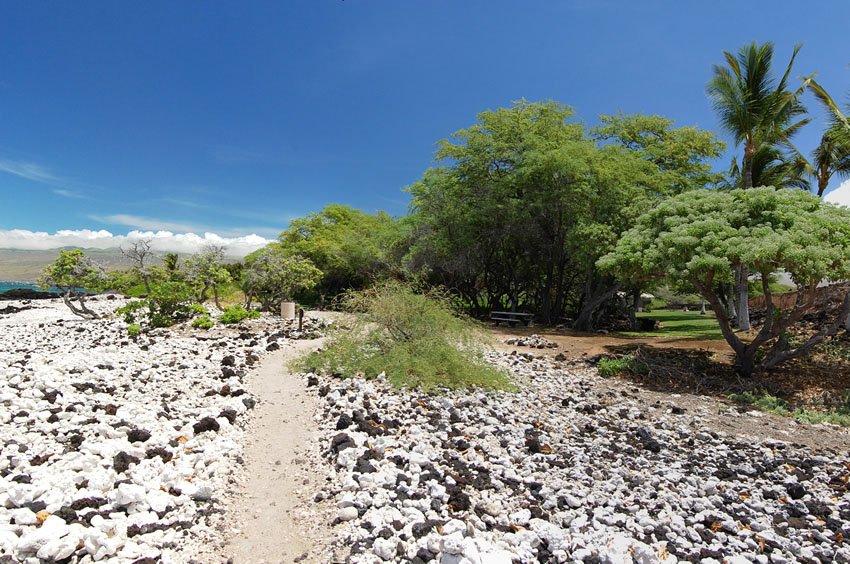 Beach trail