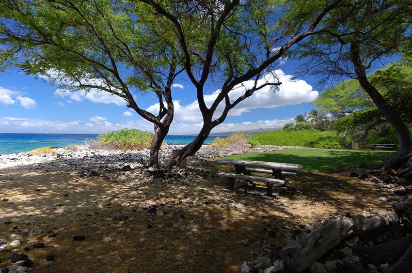 Good beach for picnics