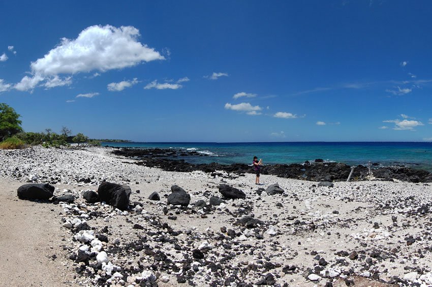 Lava and coral rocks