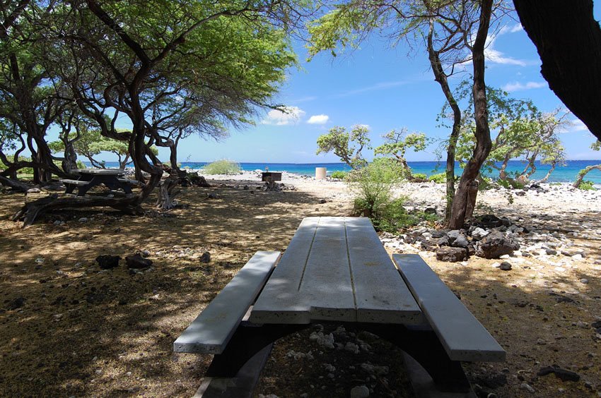 Picnic table