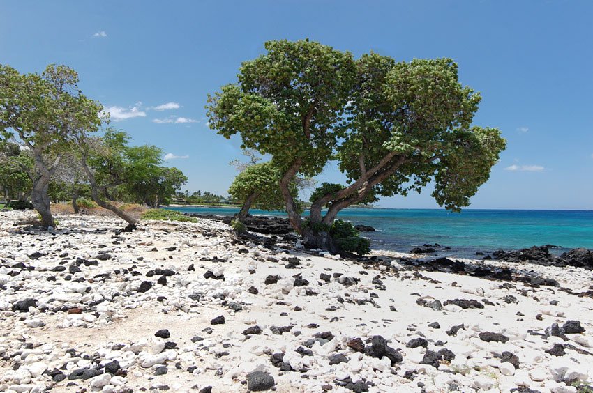 Rocky beach