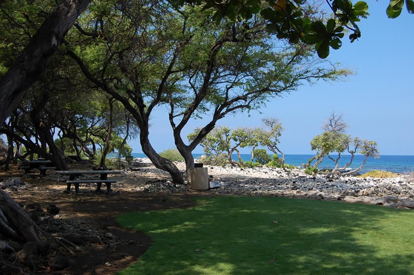 Shaded picnic area