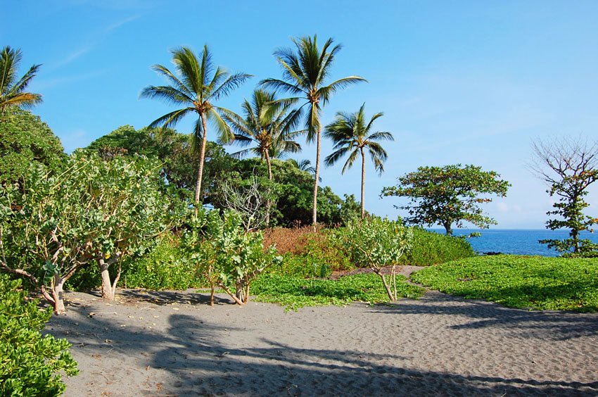 Small beach park