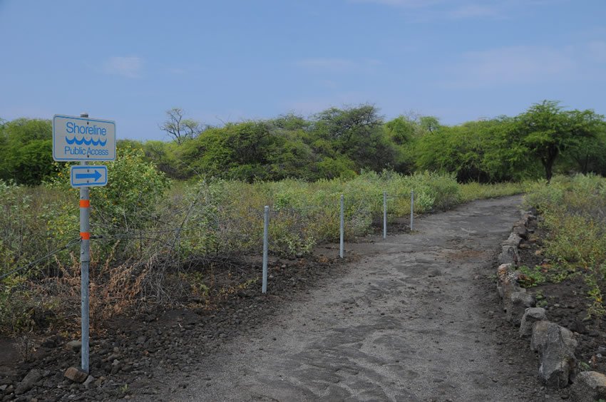 Beach access trail