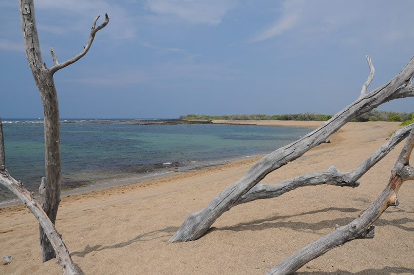 Honokohau Beach