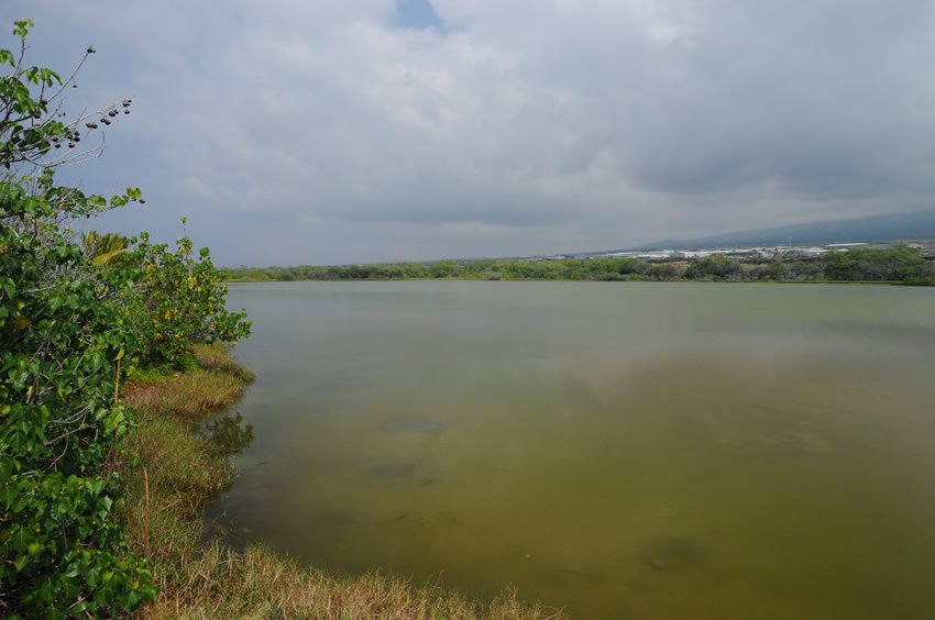 Aimakapa Fishpond