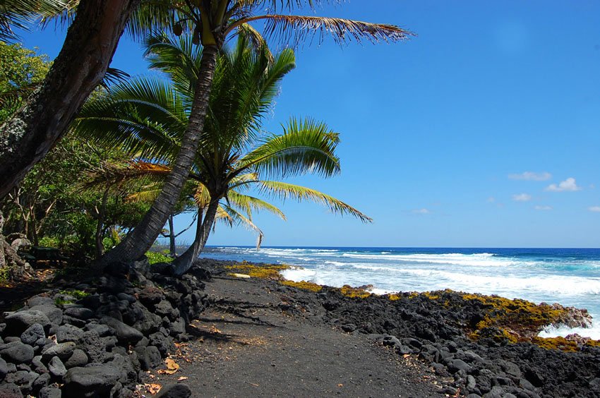 Scenic trail along the beach