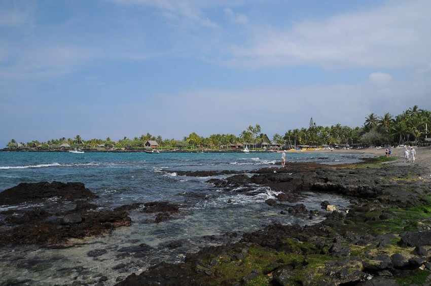 Moss-covered lava rocks