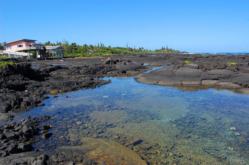 Area at low tide