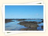 Kapoho Tide Pools