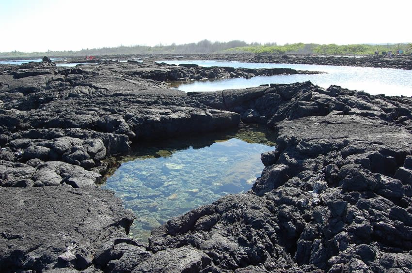 Small tide pool