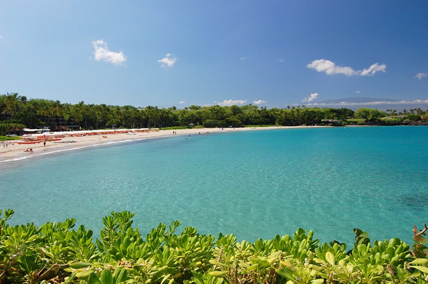 Famous Kohala beach