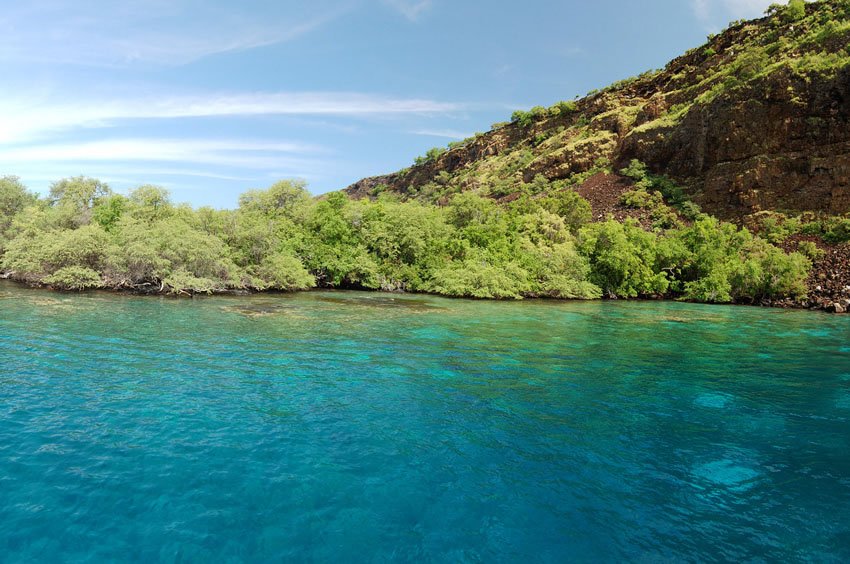 Best bay for Hawaii snorkeling