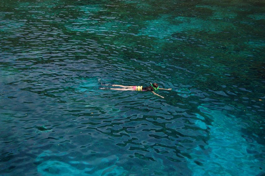 Snorkeling at Kealakekua Bay