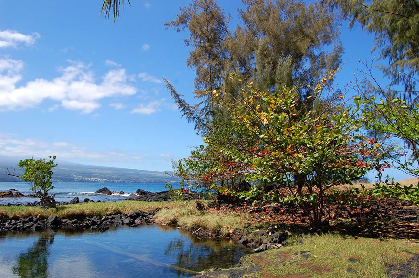 Park near Hilo