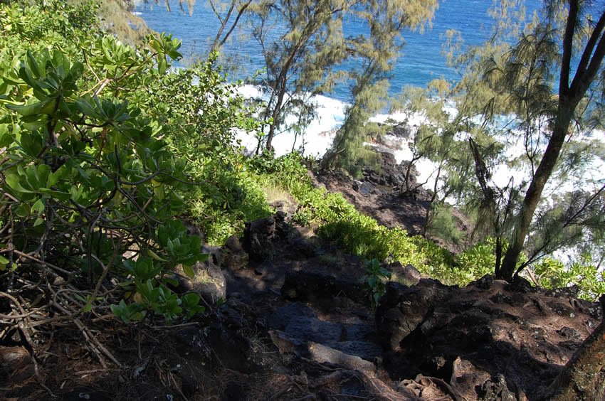 Steep trail to the beach