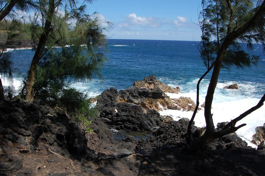 View from the trail