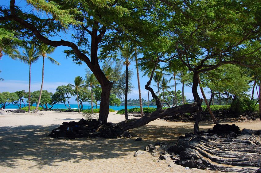 Scenic beach park