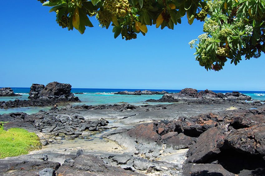 Scenic shoreline