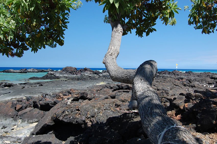 Scenic shoreline