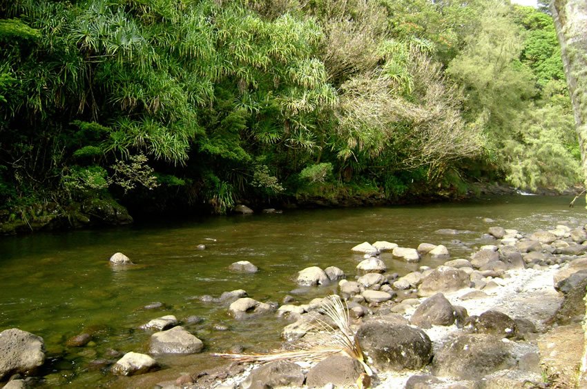 Kolekole Stream