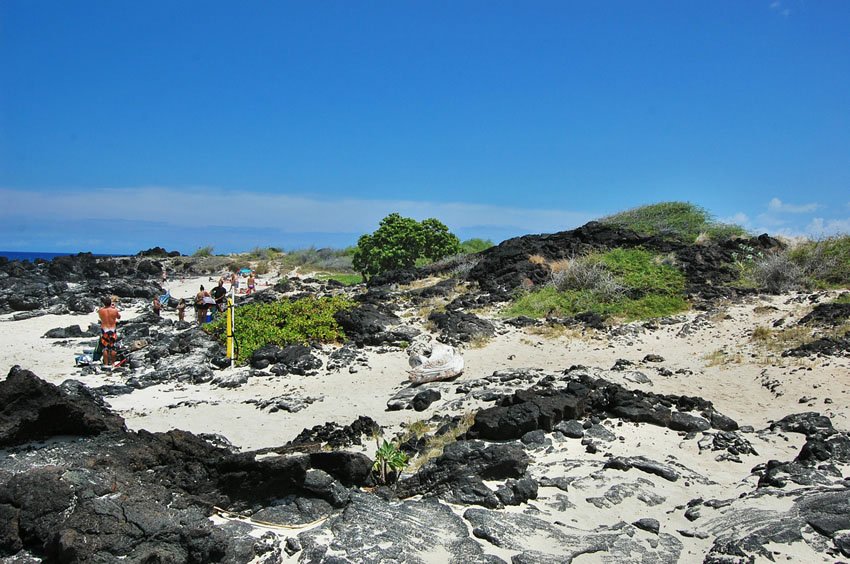 Rocky backshore