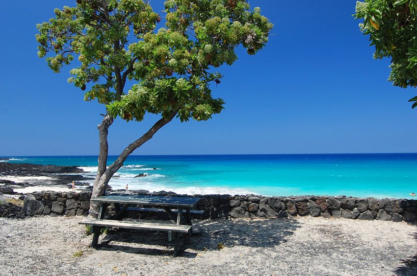 Scenic picnic area