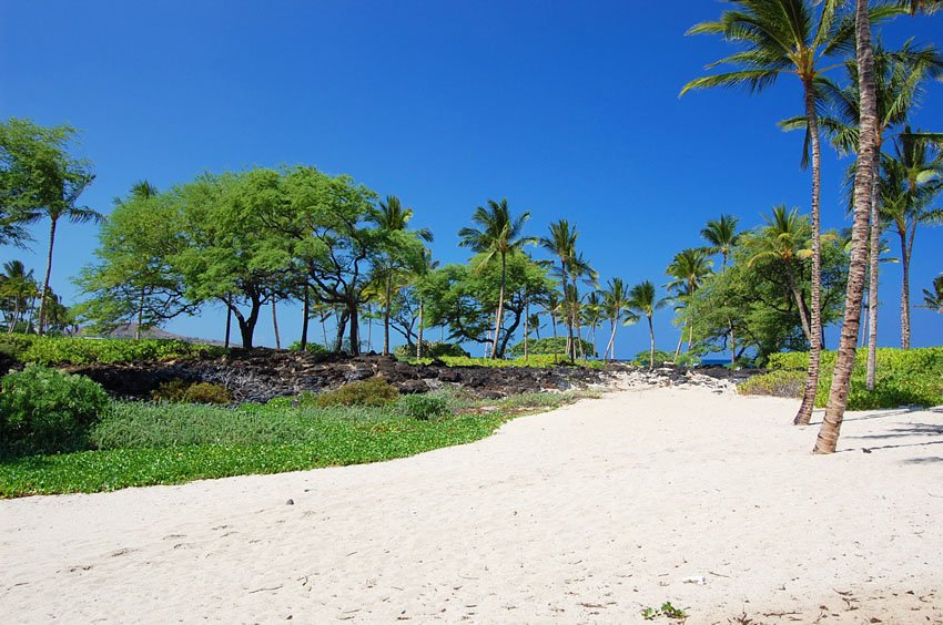 Beach scenery