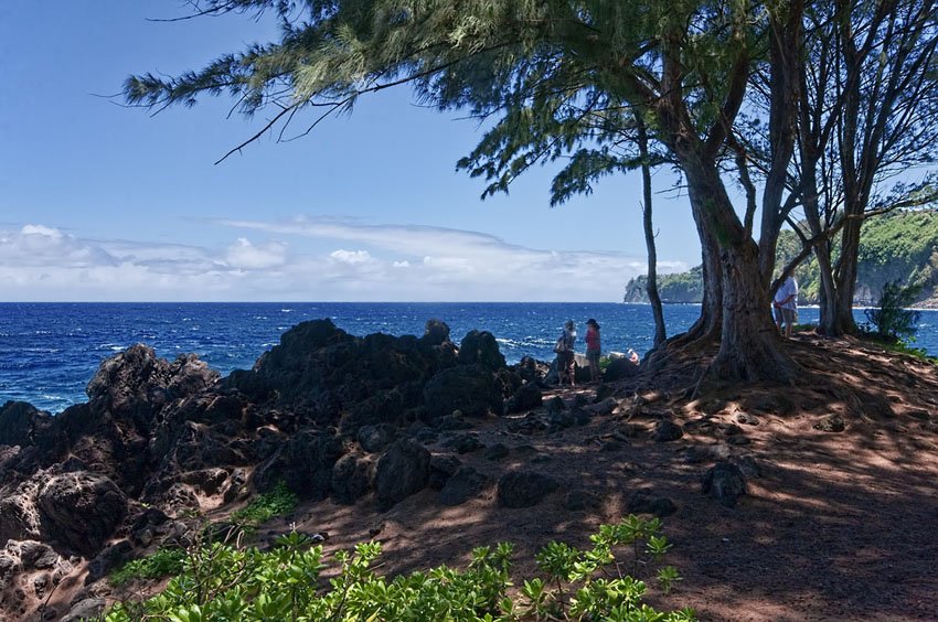 Laupahoehoe Point Beach Park