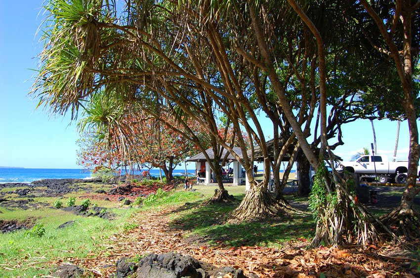 Picnic pavilions