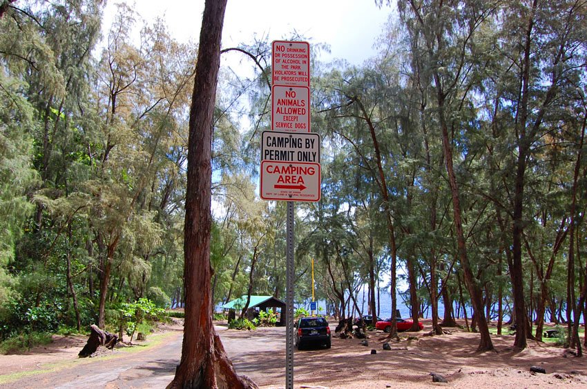 MacKenzie State Park camping area