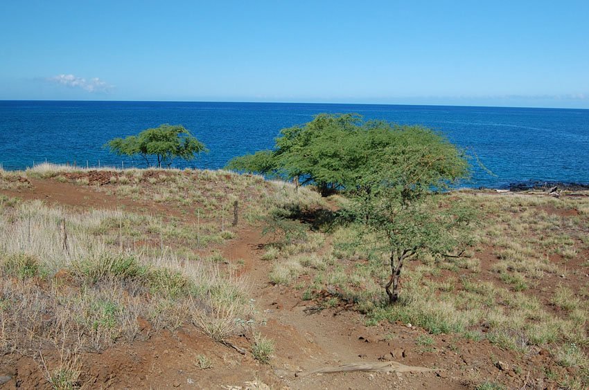 Beach trail