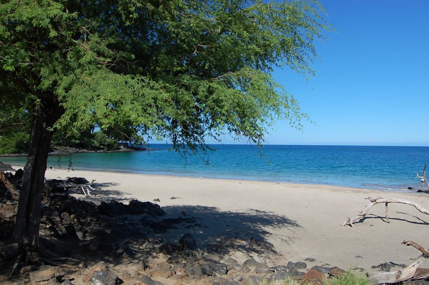 Nice beach for a picnic