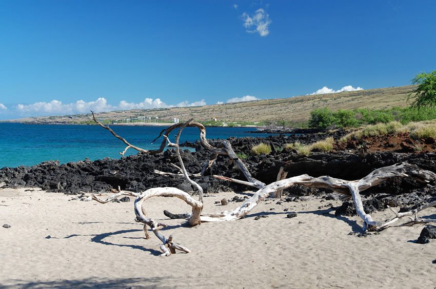 North Kohala beach