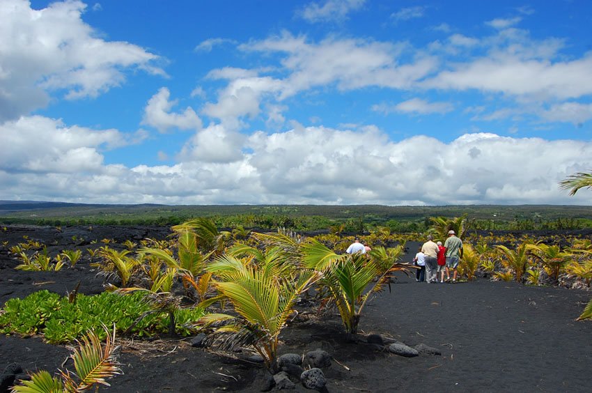 Kaimu Beach Eco-Path