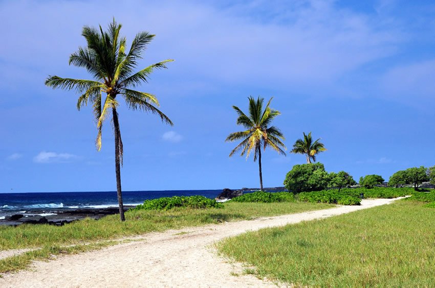 Walkway by the beach