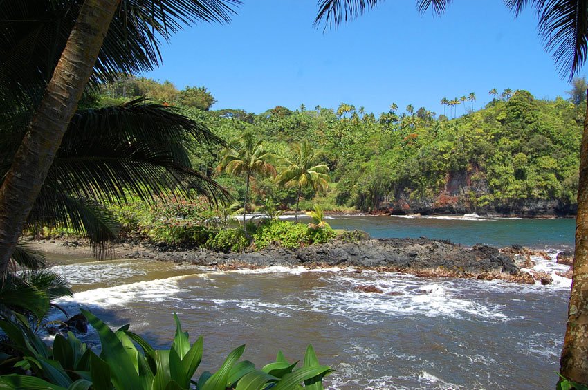 Rocky shoreline