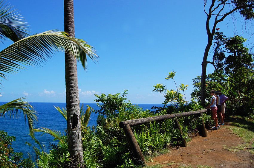 Onomea Bay lookout point