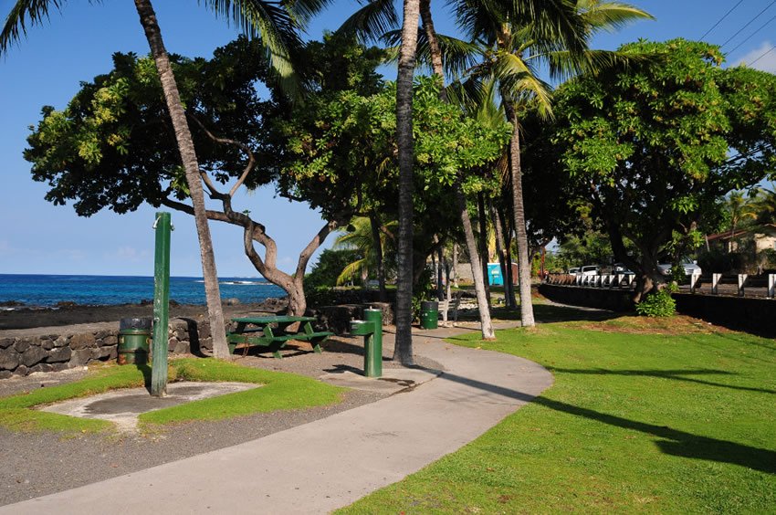 Walkway in the park