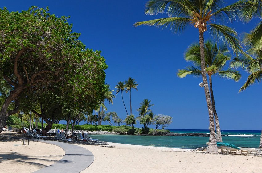 Beach trail