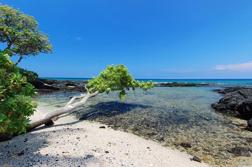 Pauoa Bay shoreline