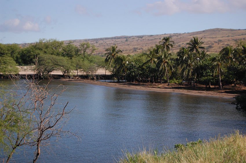 Sacred Hawaiian beach