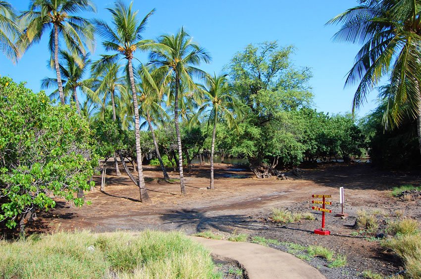 Pelekane Beach park area