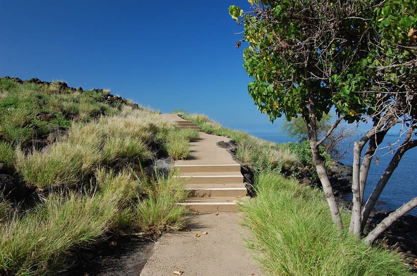 Trail leading to the beach