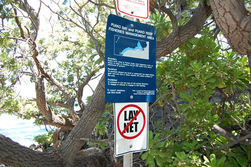 Info sign