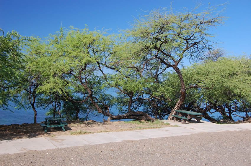 Park and picnic tables