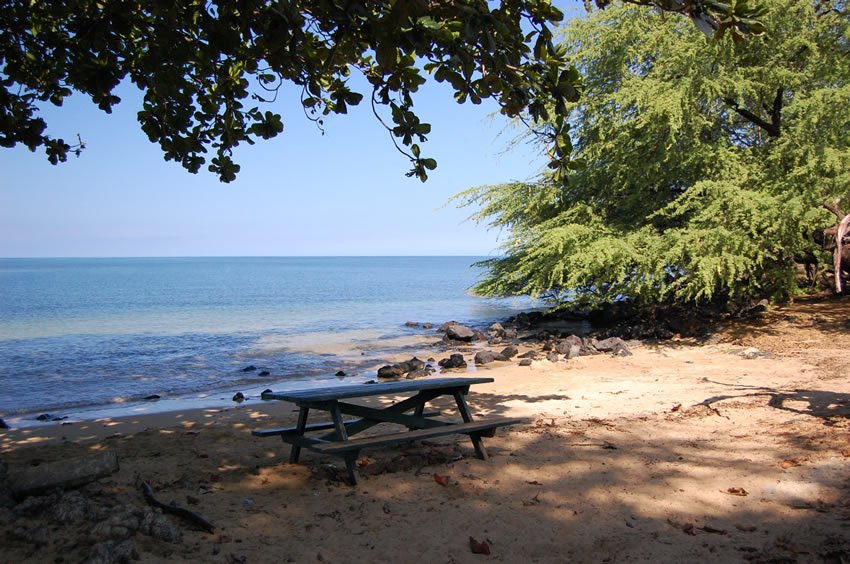 Picnic table by the water