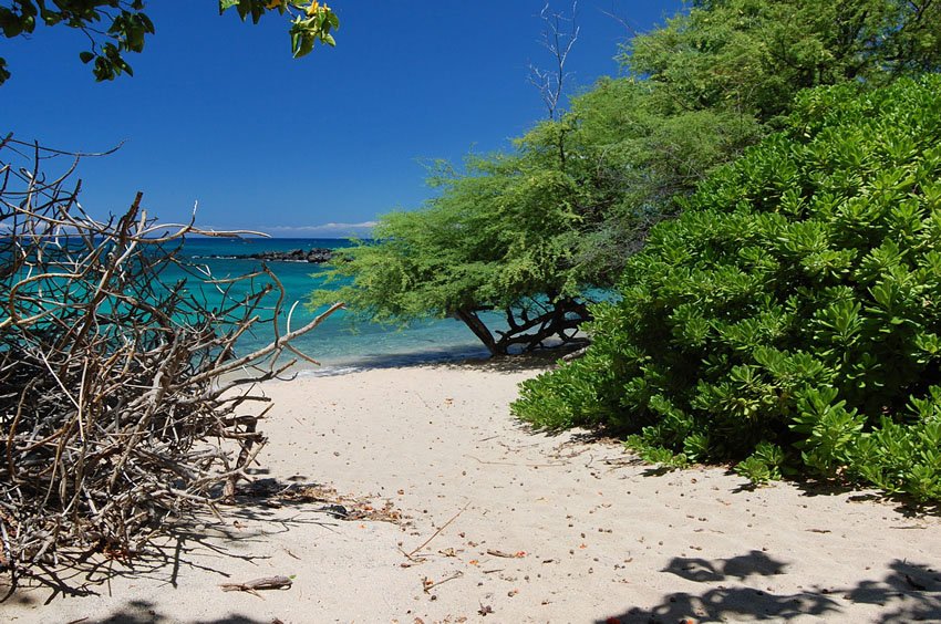 Beautiful Big Island beach