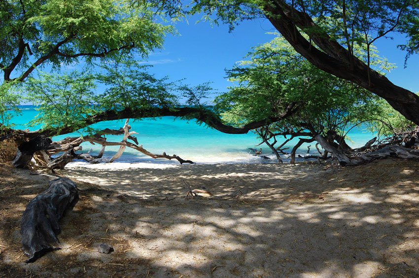 Good beach for a picnic