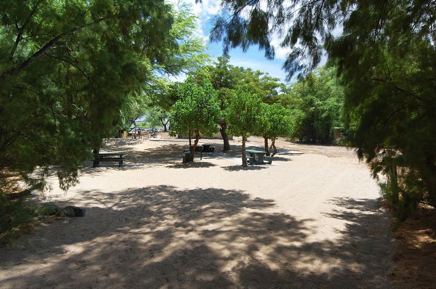 Park area